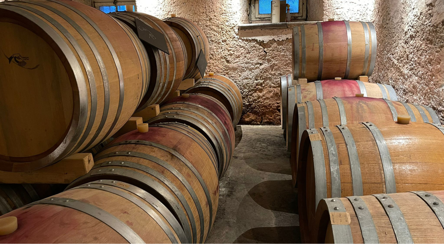 A wine cellar
